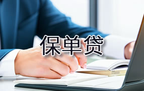 曲靖保单贷